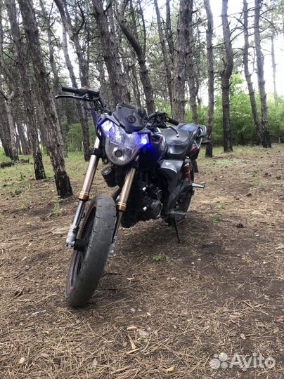 Stels flame 200