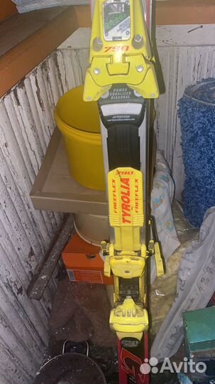 Горные лыжи