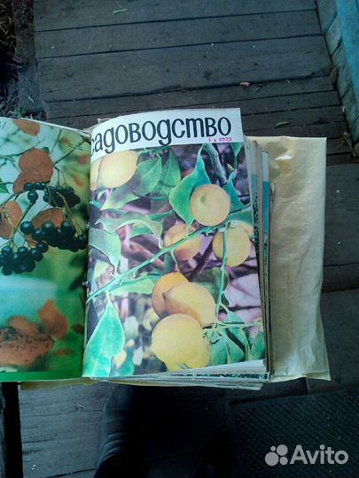 Журнал Садоводство СССР