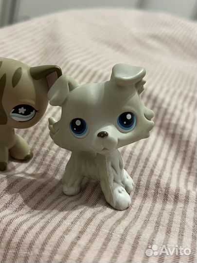 Littlest pet shop lps лпс стоячка колли дог 3D