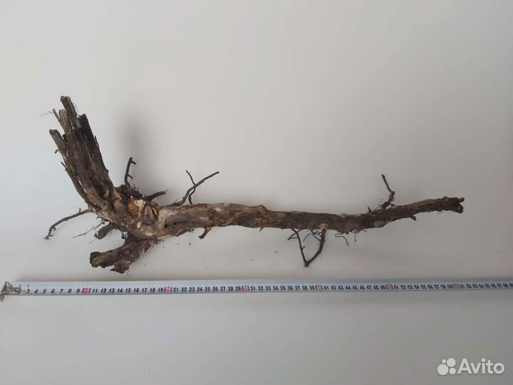 Коряги корни для аквариума / террариума