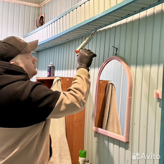 Уничтожение клопов, тараканов, блох, плесени