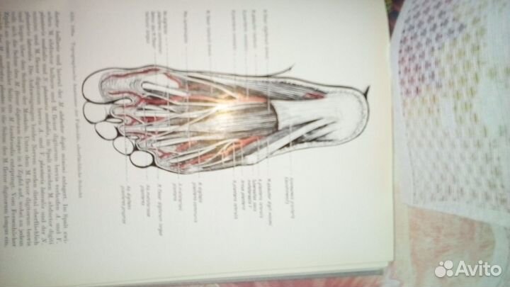 Книги по массажу и нумезматике