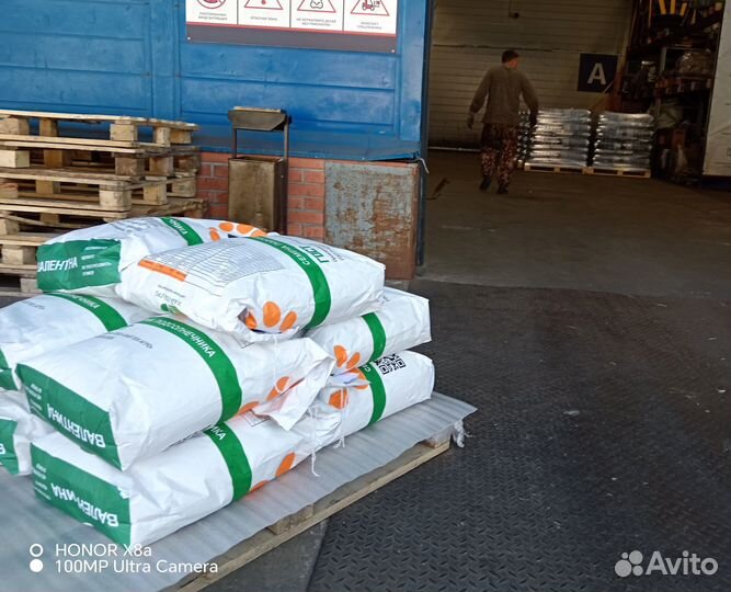 Семена подсолнечника гибрид мария ими (Евролайтинг