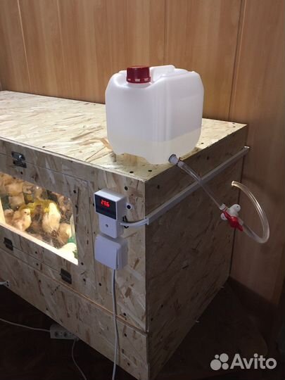 Брудер для цыплят новый