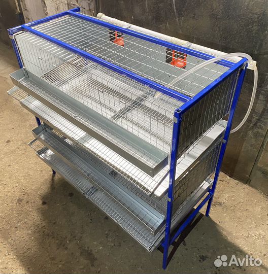 Клетки для кур, перепелов