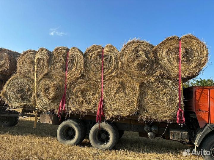 Продажа сена с доставкой