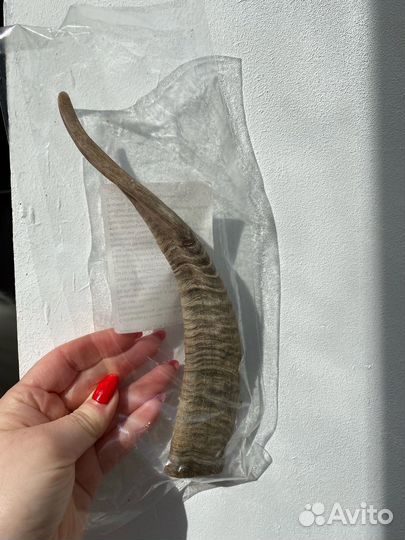 Козьи рога - собачье лакомство