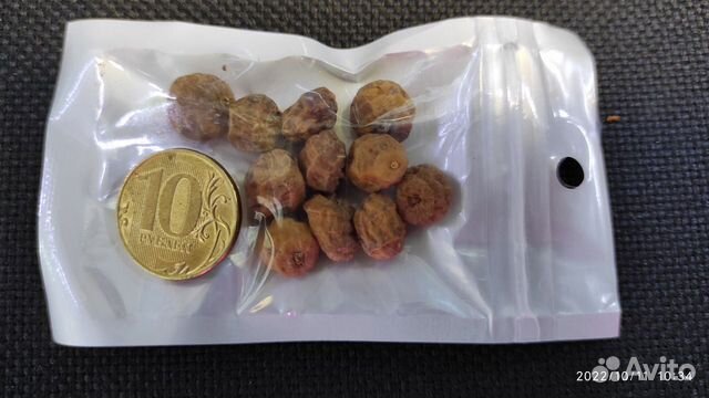 Семена тигрового ореха