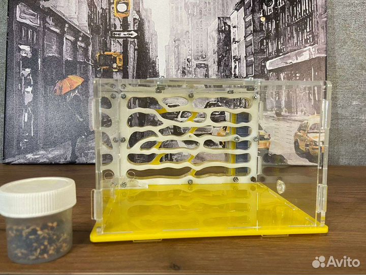 Муравьиная ферма без муравьев