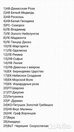 Сортовые фиалки