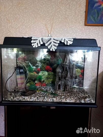 Аквариум