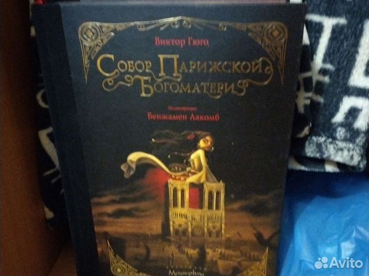 В. Гюго - Собор Парижской Богоматери