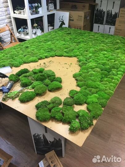 Озеленение