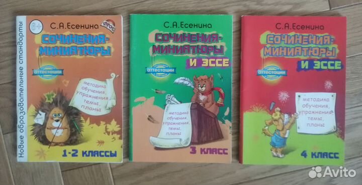 Есенина. Сочинения-миниатюры и эссе