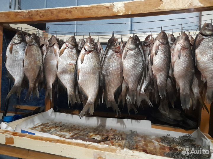 Рыба вяленая, Густера