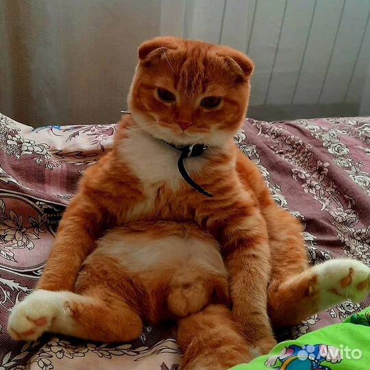 Вязка