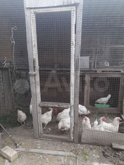 Дача 90 м² на участке 6 сот.