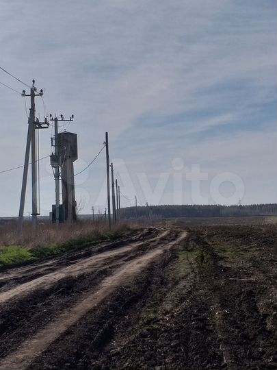 Участок 4,05 га (ИЖС)