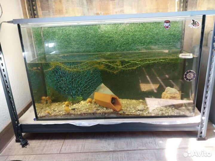 Аквариум 73 литра