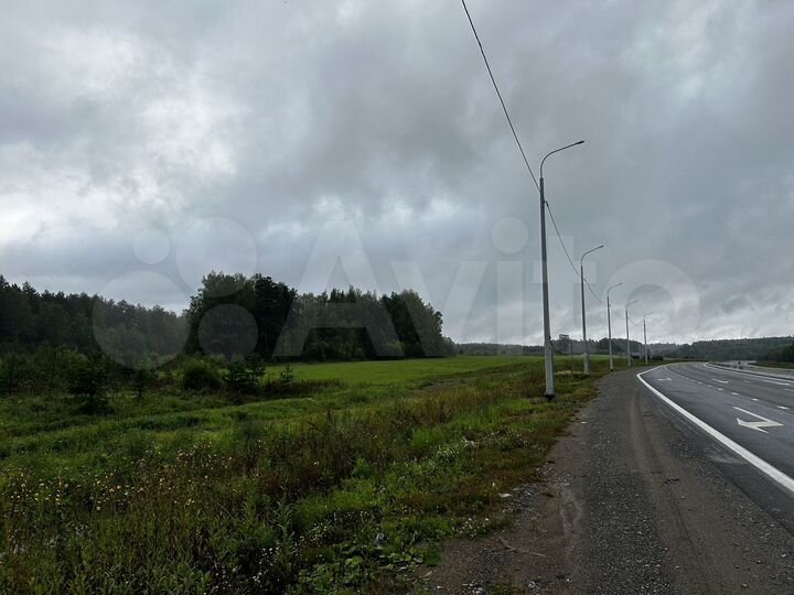 Участок 3,16 га (СНТ, ДНП)