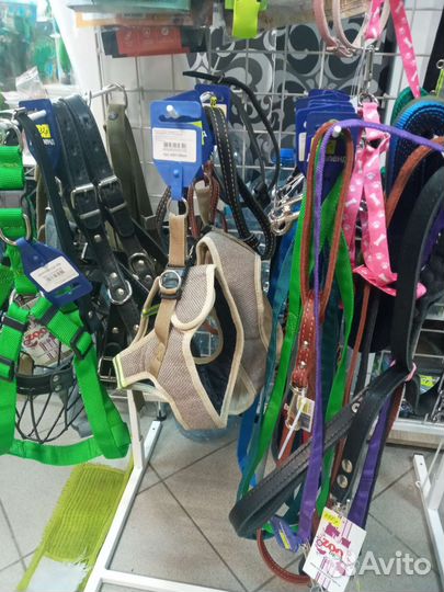 Ошейник и поводок