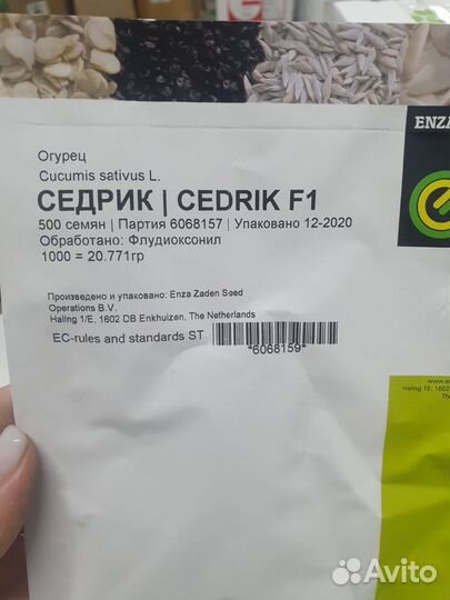 Семена огурец Седрик гибрид 500с Энза Заден