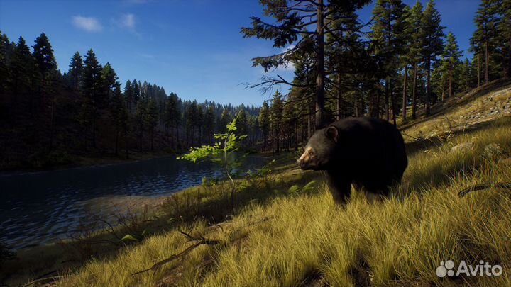 Way of the Hunter: Elite Edition Xbox