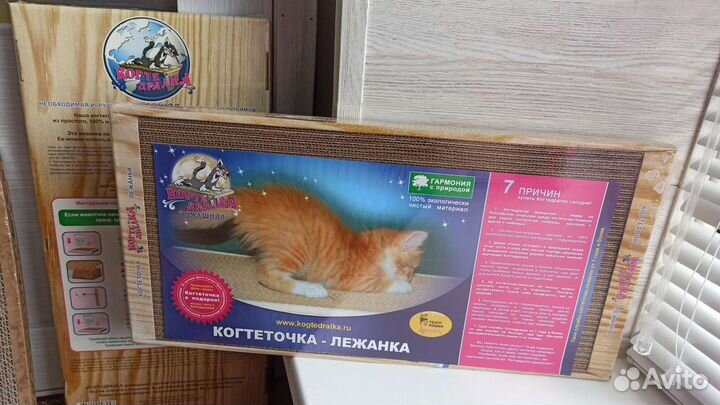 Когтеточки