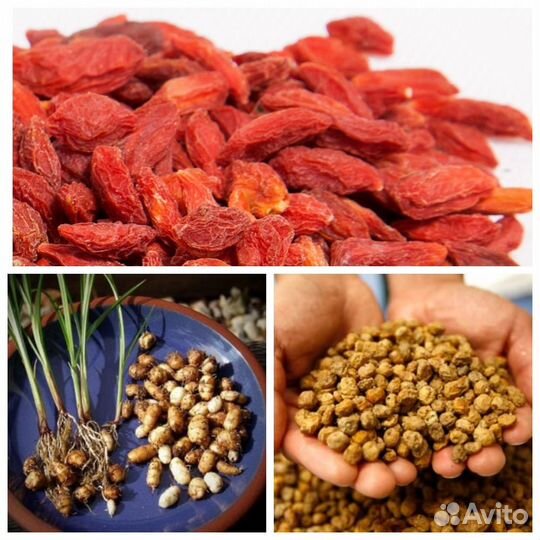 Полезные растения для здорового питания