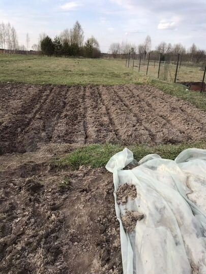 Участок 10 сот. (ИЖС)