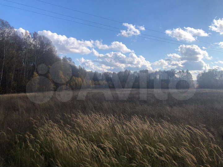 Участок 1,2 га (ИЖС)