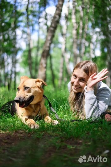 Молодая активная погибает в приюте