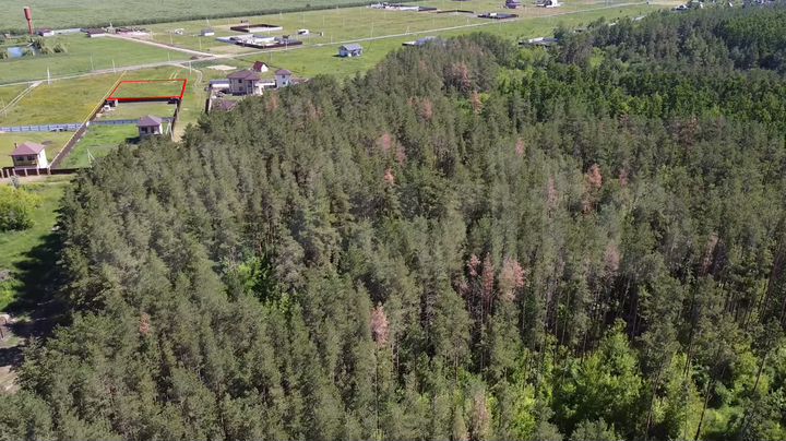 Участок 10 сот. (ИЖС)