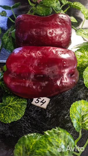 Семена сладкого перца