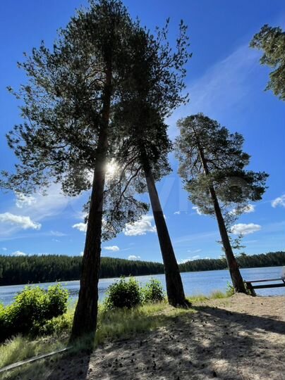 Дача 50 м² на участке 50 сот.