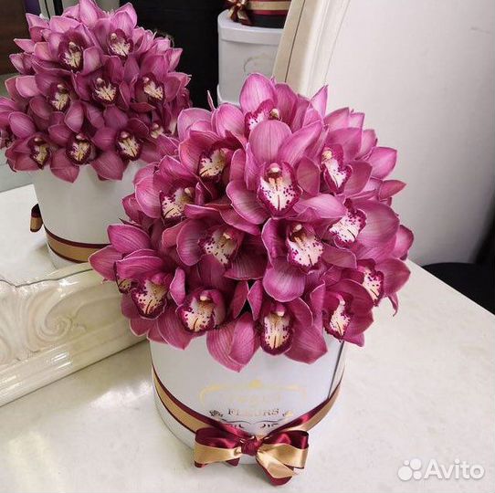 Фито картины