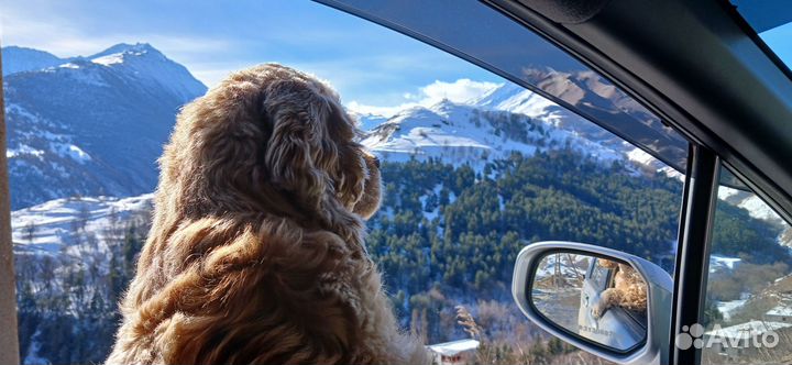 Экскурсия Верхняя Балкария / Язык Тролля