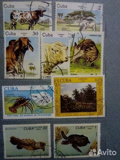 Марки -cuba животные