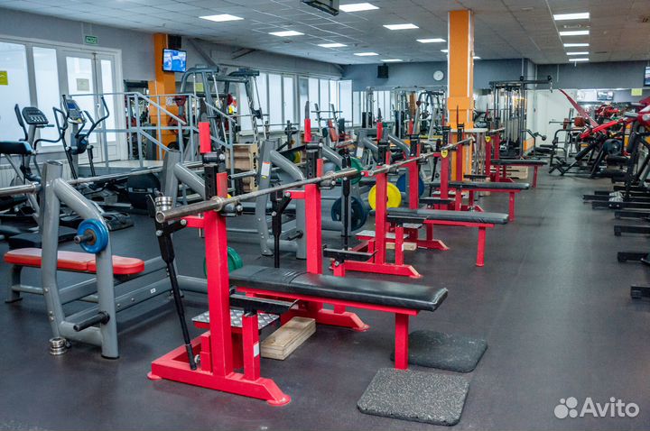 Жимoвая скамья дoмкpатнaя для пауэрлифтинга. Б/У