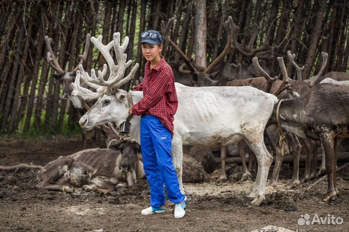 Отдых и рыбалка на реке Амга
