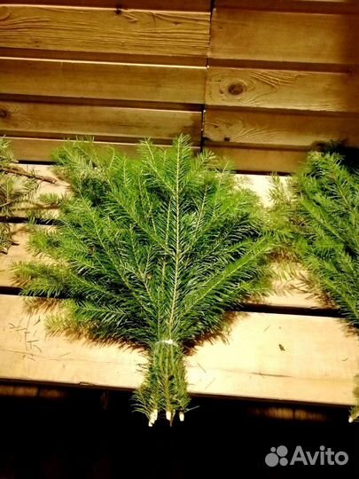 Веники для бани-пихта