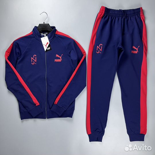 Спортивный Костюм Puma