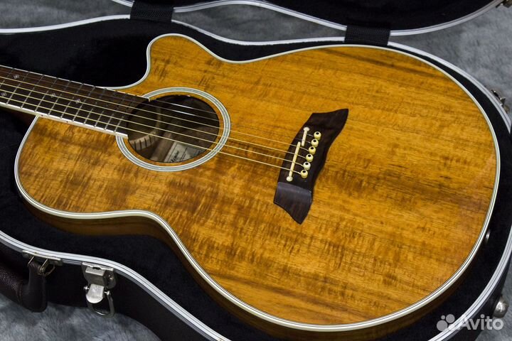Электроакустика Takamine PTU-108KN. Кейс
