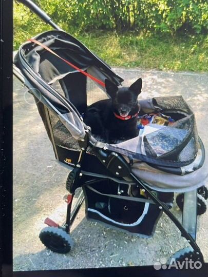 Коляска для животных