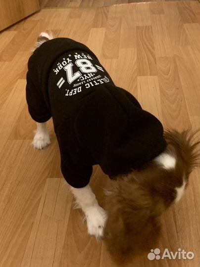 Худи на собаку/щенка