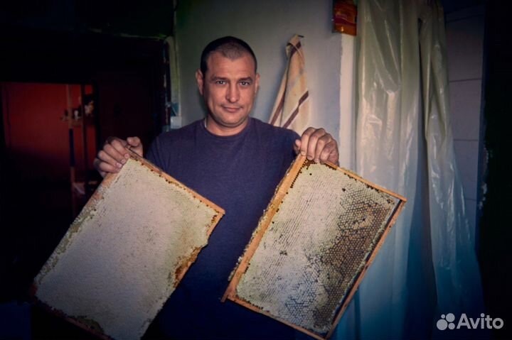 Рамки пчелиные