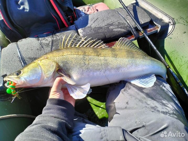 Рыба донская свежая