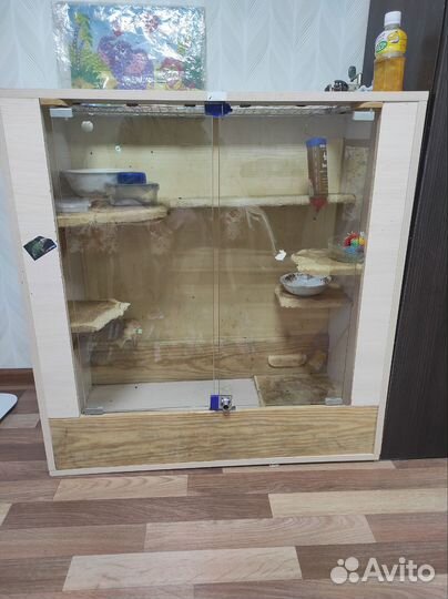 Витрина для шиншилл
