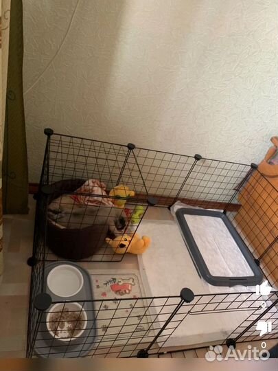 Вольер для домашних животных